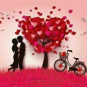 Meet your Posher, Anastacia